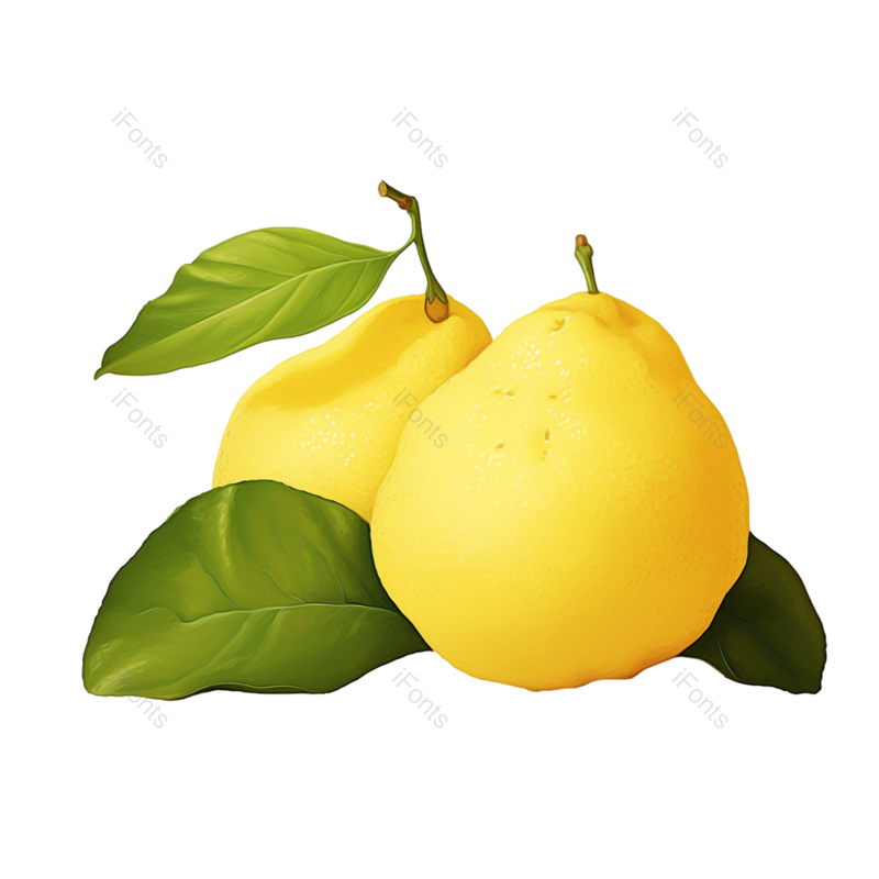 叶子图片,清新元素,水果PNG,食品免抠素材